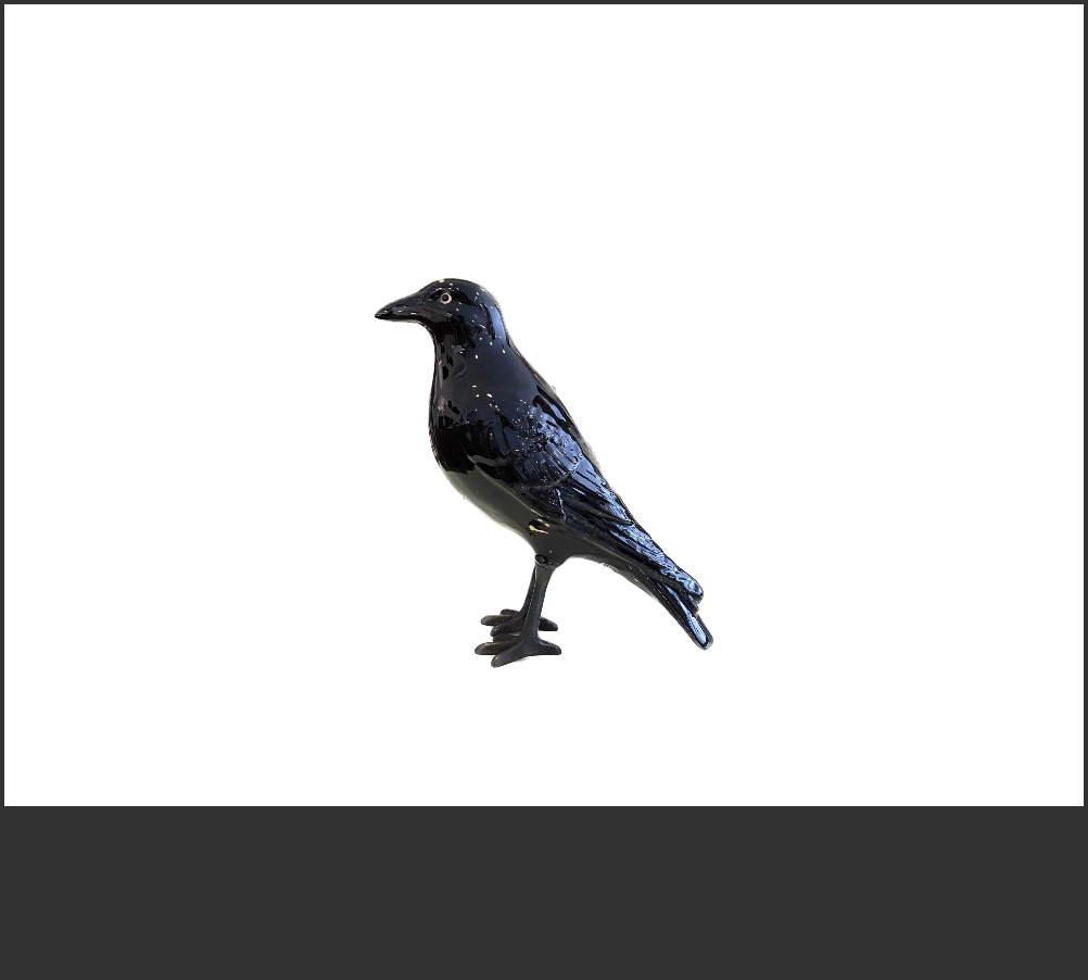 Corvo patas latão preto